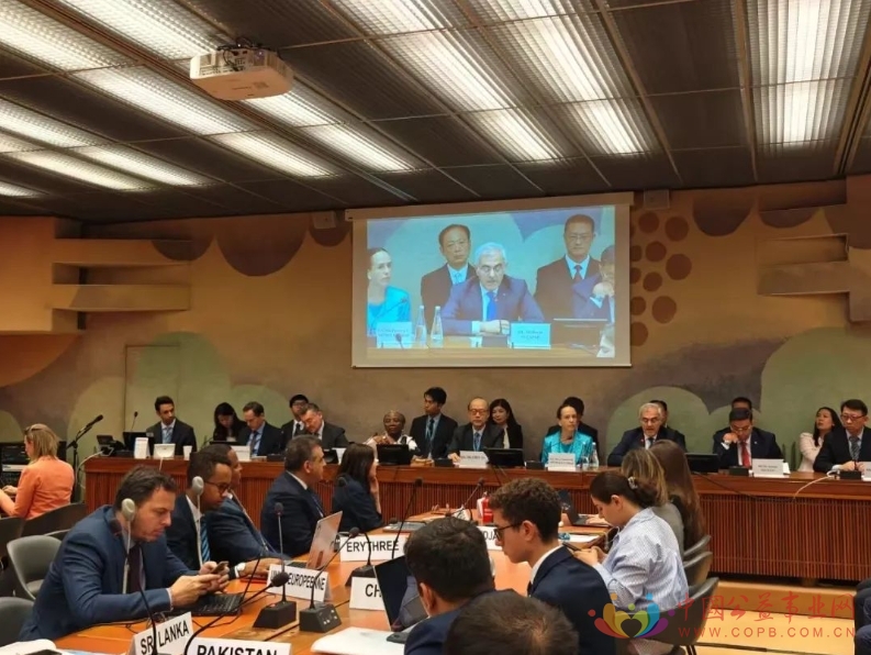 无障碍环境建设检察公益诉讼亮相联合国！