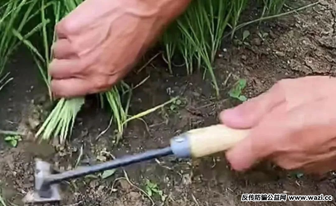 【原田易购】表面是商城电商平台，实则是互助骗局警惕！