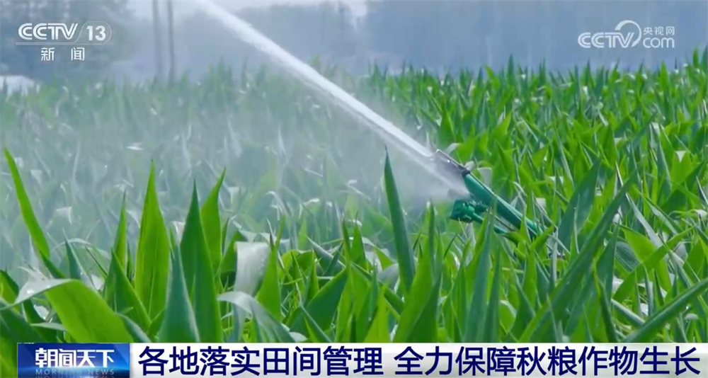 智“绘”田管图 科技为全力保障秋粮作物生长装上“数字大脑”