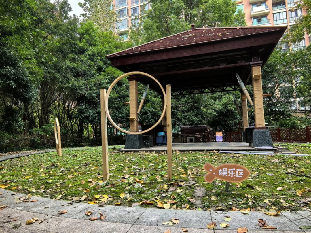 赋能社工成长，助力社区治理！九亭镇有个“议事亭间”