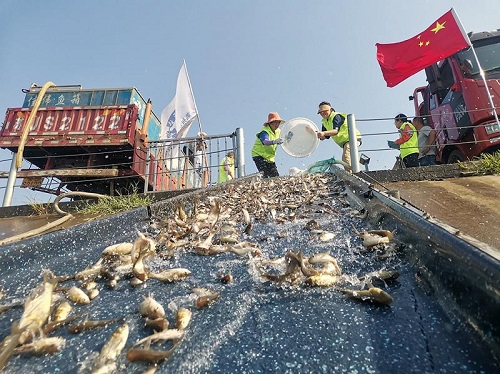 三亿鱼苗跃江湖 七载善举润姑苏——苏州慈善助力生态保护的创新实践