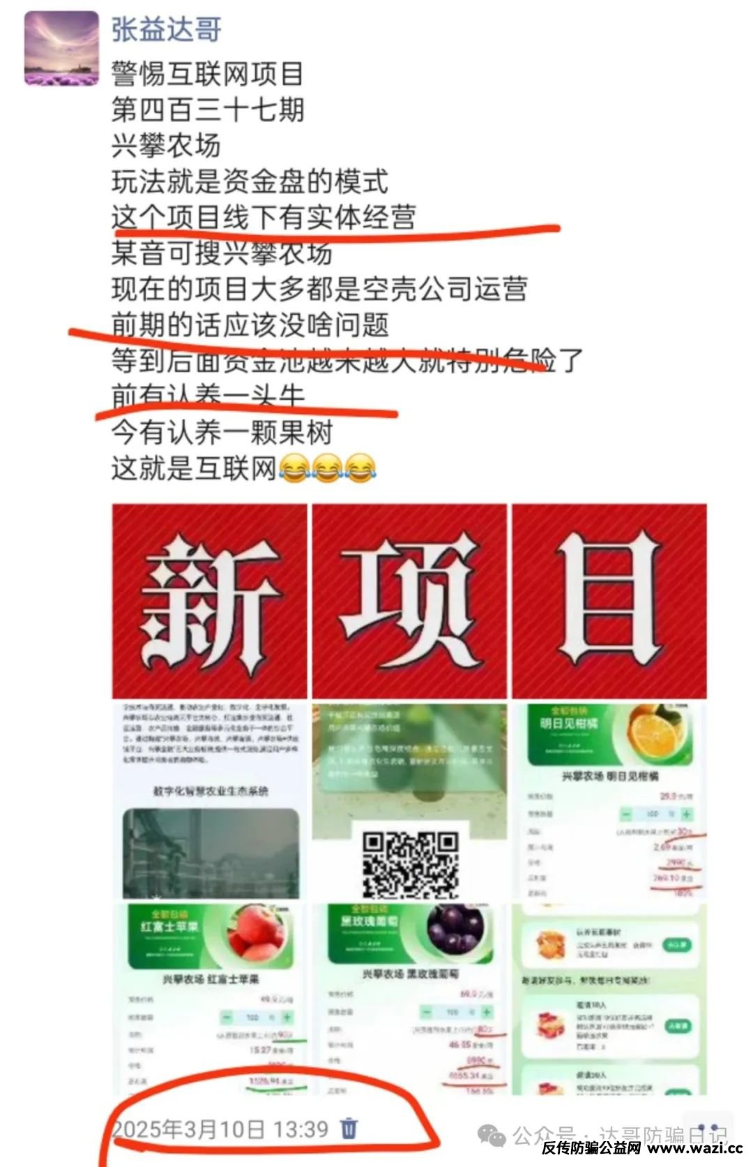 预警提醒【兴攀农场】大额产品上线，集资项目背后的风险一定要警惕！