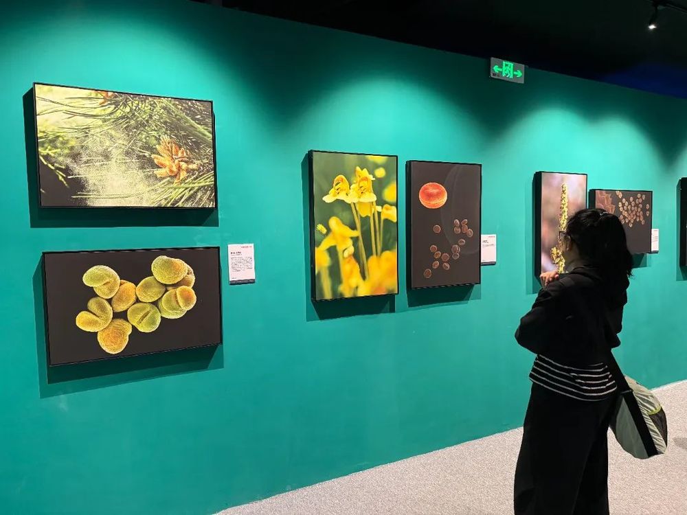 文化生活“双双”发光