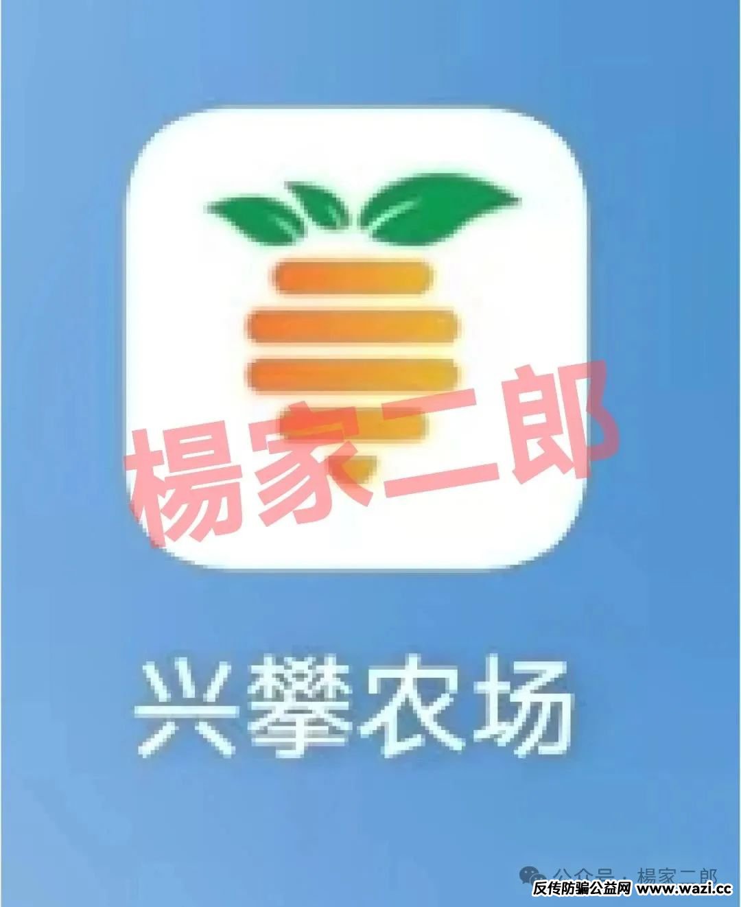 曝光【兴攀农场】崩盘已成定局！切莫继续充值交钱！