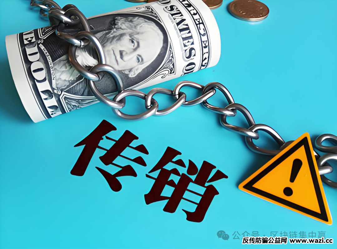 你的钱包正在被“链上牛牛”掏空！起底币安链上“牛13”的传销陷阱！